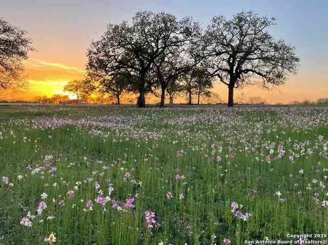 Vacant Land For Sale - 460 Woelke Rd<br/> Seguin, TX 78155