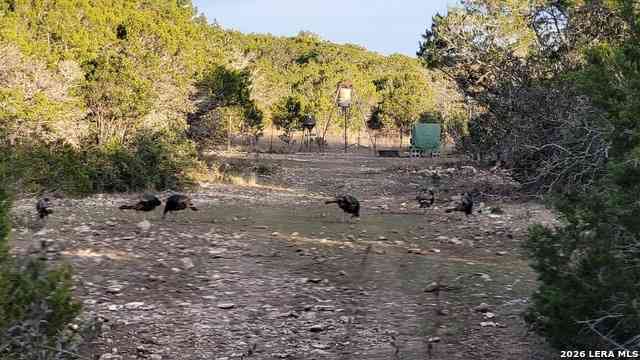 Other For Sale - TBD Mutt Rd<br/> Kinney County, Brackettville, TX 78832
