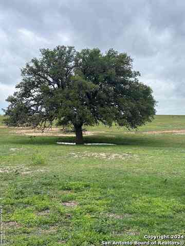 Vacant Land For Sale - TBD (TR 4) W Gates Valley Rd<br/> Atascosa County, Poteet, TX 78065