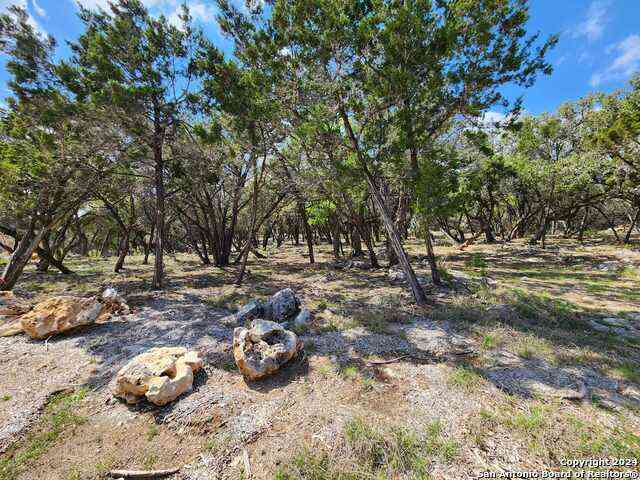Vacant Land For Sale - LOT 19 Forest Lake Dr<br/> Comal County, Spring Branch, TX 78070