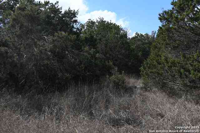 Vacant Land For Sale - 979 & 987 Deer Valley Pass<br/> Spring Branch, TX 78070