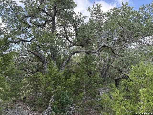 Vacant Land For Sale - 351 Ridge Pt<br/> Spring Branch, TX 78070