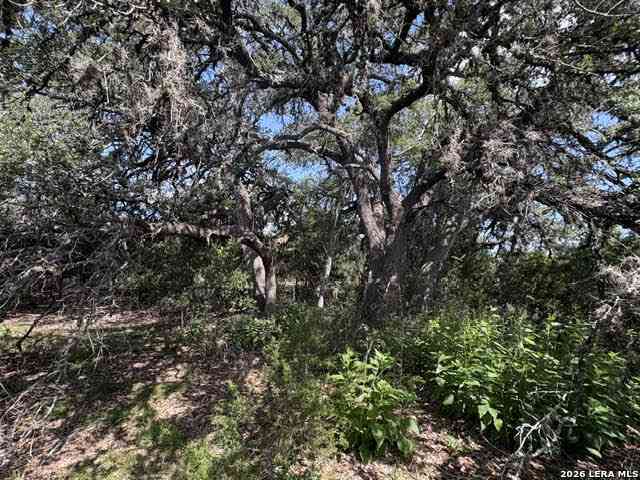 Vacant Land For Sale - LOT 2025 Split Ridge<br/> Spring Branch, TX 78070