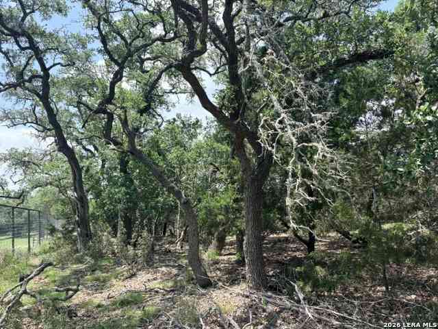 Vacant Land For Sale - 128 Coneflower Dr<br/> Spring Branch, TX 78070
