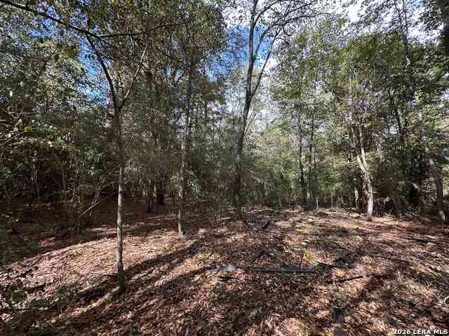 Vacant Land For Sale - 467 Jape Massingill Ln<br/> Angelina County, Diboll, TX 75941