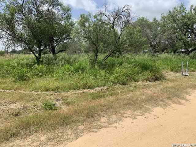 Vacant Land For Sale - 319 Karen Kourt<br/> Medina County, Devine, TX 78016