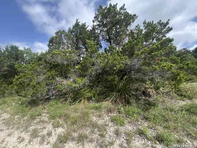 Vacant Land For Sale - 268 Scenic Hills Dr<br/> Comal County, Canyon Lake, TX 78133