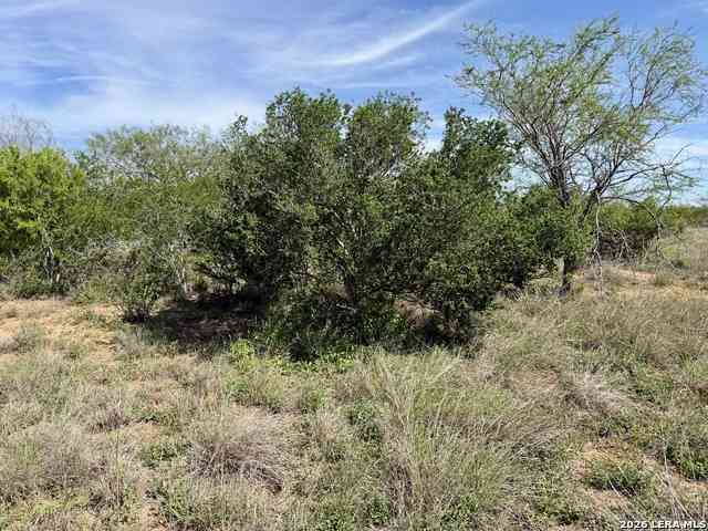 Vacant Land For Sale - County Road 147<br/> Live Oak County, George West, TX 78022