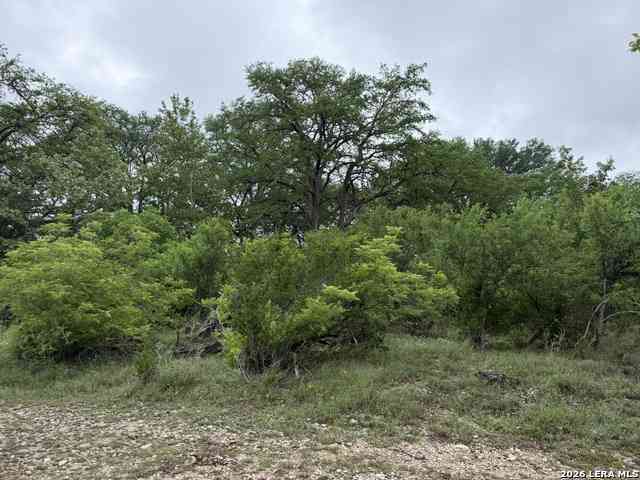 Vacant Land For Sale - 261 River Dr<br/> Rio Frio, TX 78879
