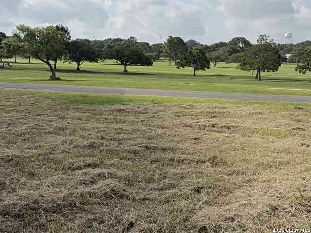Vacant Land For Sale - 585 County Road 768<br/> Devine, TX 78016
