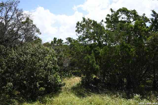 Vacant Land For Sale - 1318 Hidden Valley Dr<br/> Spring Branch, TX 78070