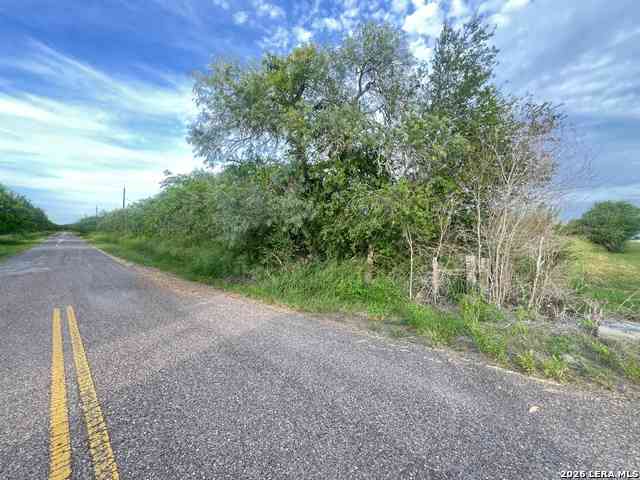 Vacant Land For Sale - 620 Cr<br/> Bee County, Skidmore, TX 78389