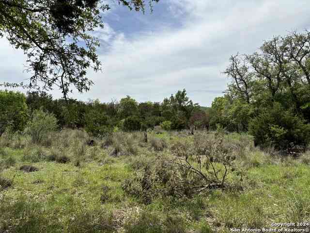 Vacant Land For Sale - 4.31 ACRES Walnut Grove Rd<br/> Kendall County, Boerne, TX 78006