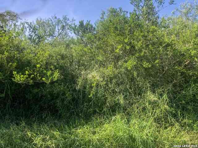 Vacant Land For Sale - 000 Cr 619<br/> Skidmore, TX 78389