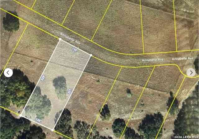 Vacant Land For Sale - 781 Annabelle Ave<br/> Comal County, Bulverde, TX 78163