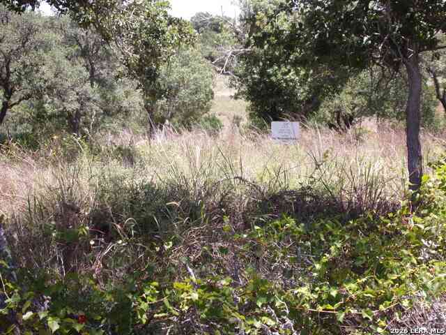 Vacant Land For Sale - TBD E Twisted Oak Trail<br/> Blanco, TX 78606