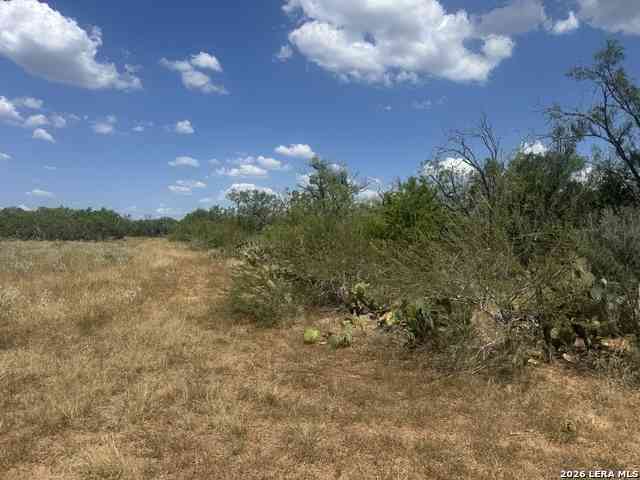 Vacant Land For Sale - 000 Ave. N<br/> Christine, TX 78012