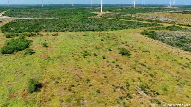 Other For Sale - TRACT 4 (56AC) San Pablo Rd Tract 4<br/> Bruni, TX 78344