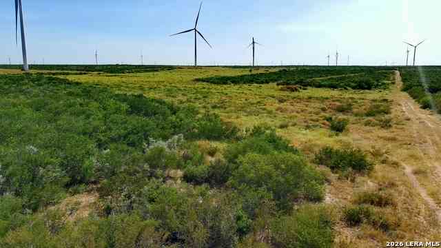 Other For Sale - TRACT 6 (80AC) San Pablo Dr<br/> Bruni, TX 78344