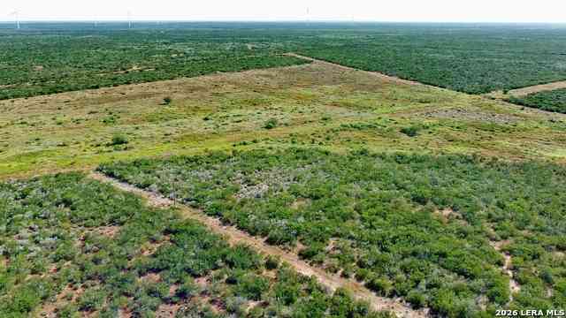 Other For Sale - TRACT 8 (47.77) San Pablo Rd<br/> Bruni, TX 78344