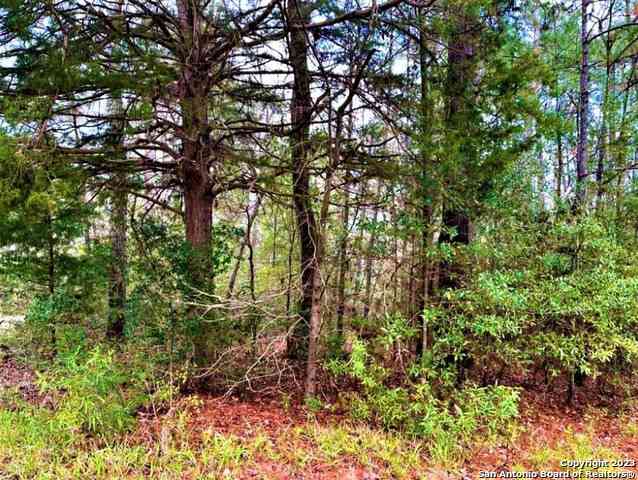 Vacant Land For Sale - 00 Sir Robert Burns<br/> Woodville, TX 75979