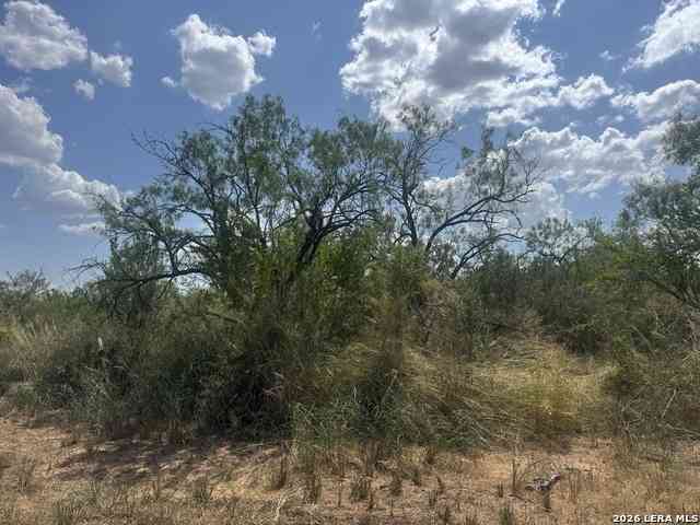 Vacant Land For Sale - 000 Ave. N<br/> Atascosa County, Christine, TX 78012
