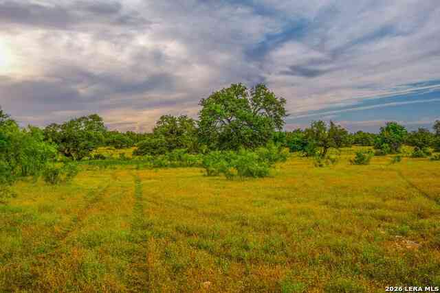 Other For Sale - 00 Treadwell Ln<br/> Menard County, Menard, TX 76859