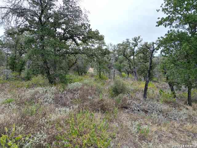 Vacant Land For Sale - 209 Timber Pl<br/> La Vernia, TX 78121