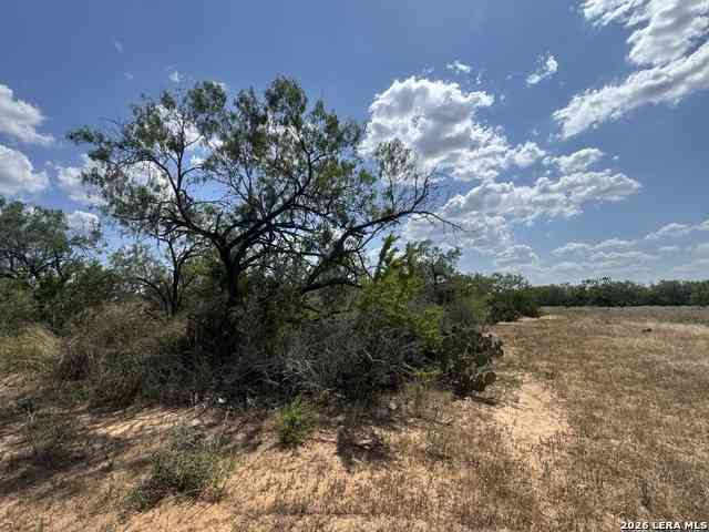 Vacant Land For Sale - 000 14th Street<br/> Atascosa County, Christine, TX 78012