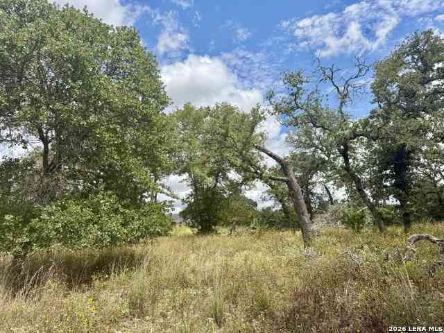 Vacant Land For Sale - 1277 Morning Glory<br/> Adkins, TX 78121