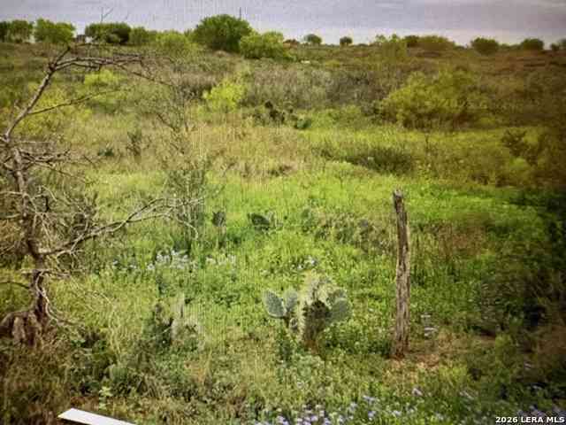 Vacant Land For Sale - 1849/1909 Strawberry City<br/> Poteet, TX 78065