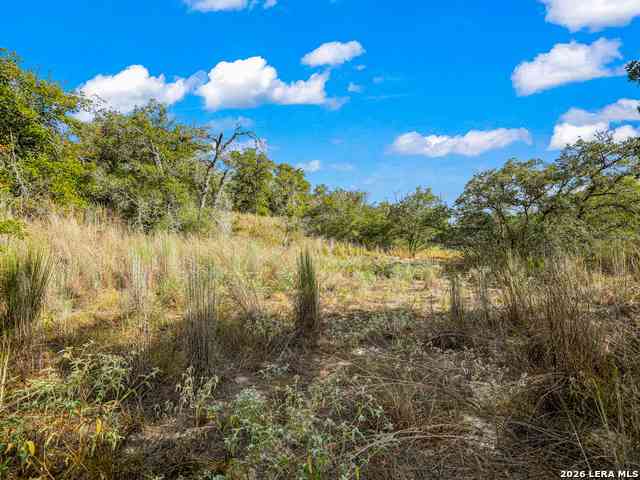 Vacant Land For Sale - 12180 Fm 1117<br/> Guadalupe County, Seguin, TX 78155
