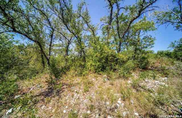 Vacant Land For Sale - 10026 Ivory Cyn<br/> San Antonio, TX 78255