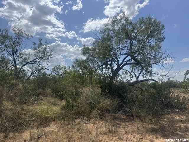 Vacant Land For Sale - 000 Ave. O<br/> Atascosa County, Christine, TX 78012