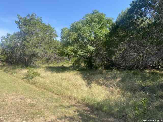 Vacant Land For Sale - 00 Jim Dalrymple Dr<br/> Real County, Leakey, TX 78873