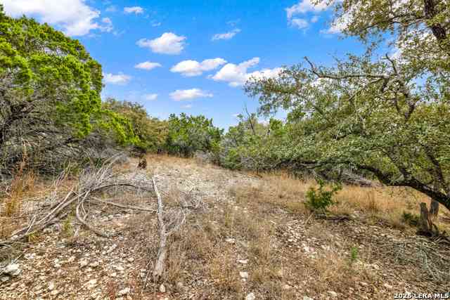 Vacant Land For Sale - 683 Lasso Loop<br/> Canyon Lake, TX 78133