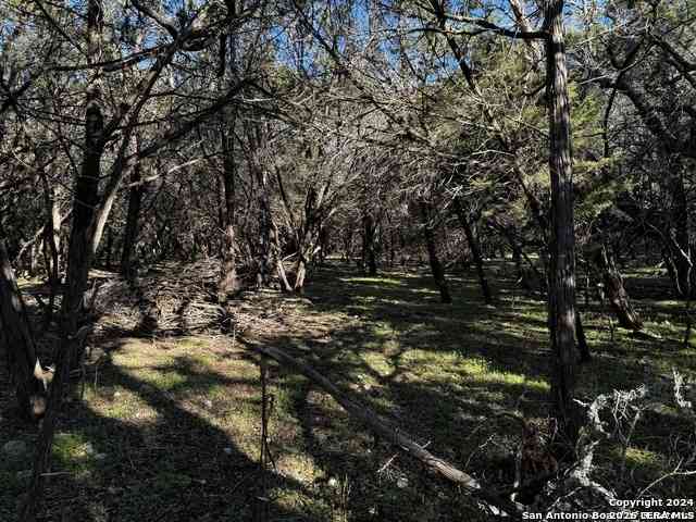 Vacant Land For Sale - 5111 Fm 1863<br/> Bulverde, TX 78163