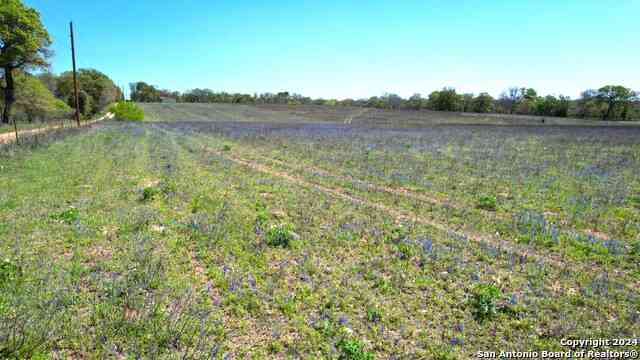 Vacant Land For Sale - 13746 Fm 539<br/> Wilson County, La Vernia, TX 78121