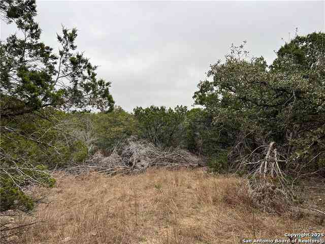 Vacant Land For Sale - 713 Stagecoach Trl<br/> Spring Branch, TX 78070