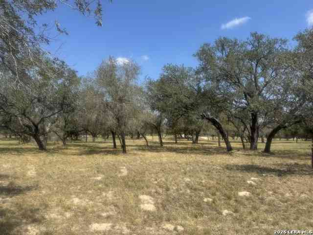 Vacant Land For Sale - 1600 County Road 770<br/> Natalia, TX 78059