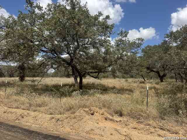 Vacant Land For Sale - 11633 W Fm 476<br/> Atascosa County, Somerset, TX 78069