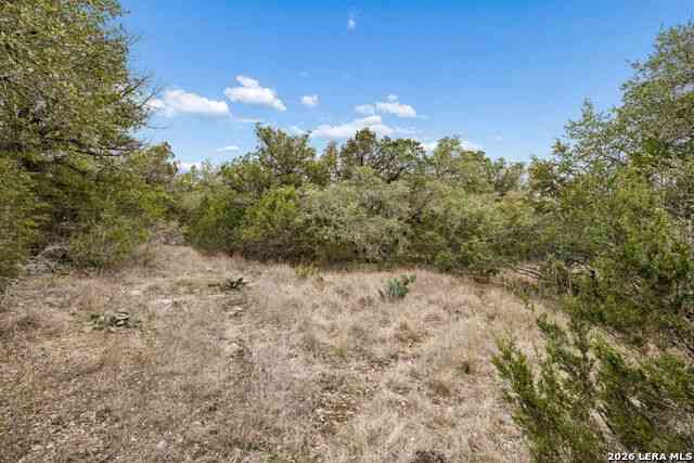 Vacant Land For Sale - TBD Lazy Forest<br/> New Braunfels, TX 78132