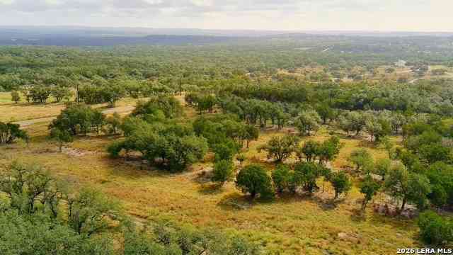 Vacant Land For Sale - Whiskey Trail<br/> Blanco, TX 78606