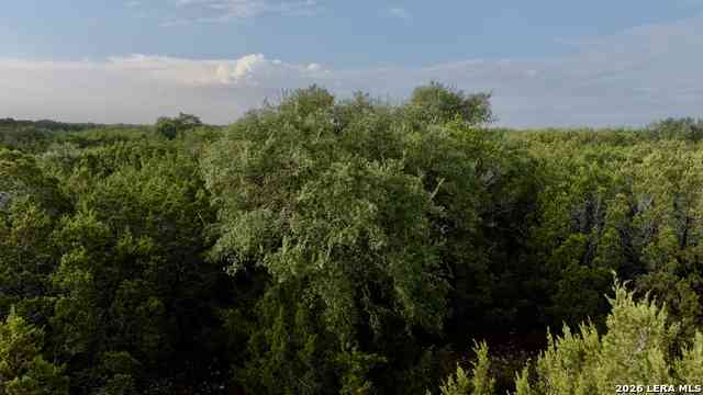 Vacant Land For Sale - 0000 County Road 330<br/> Burnet, TX 78611