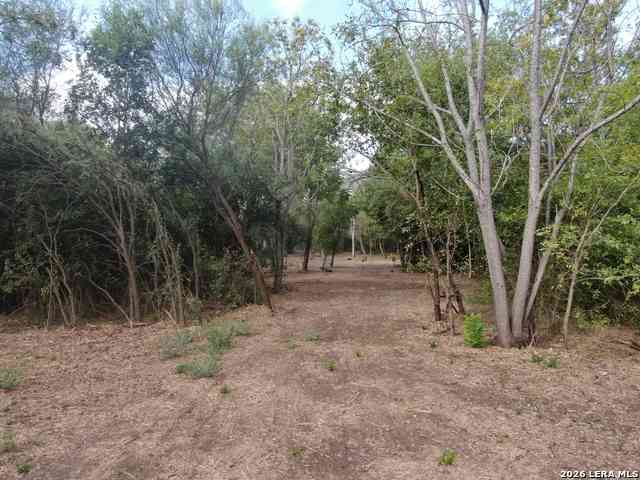 Other For Sale - 00 Fm 463<br/> Medina County, Devine, TX 78069