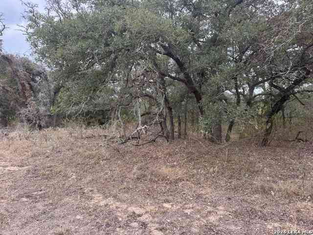 Vacant Land For Sale - 133 White Horse Ln<br/> Stockdale, TX 78160