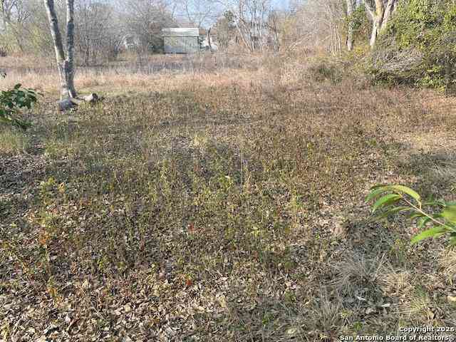 Vacant Land For Sale - 608 Cedar St<br/> Jourdanton, TX 78026