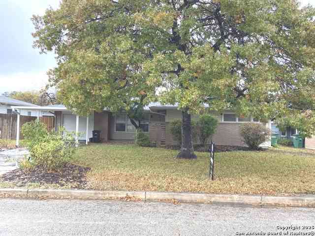 Homes For Sale - 423 Timberlane<br/> San Antonio, TX 78218