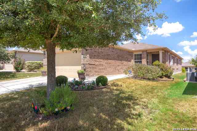 Homes For Sale - 12907 Pronghorn Oak<br/> San Antonio, TX 78253