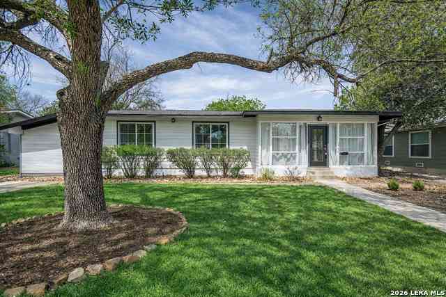 Homes For Sale - 227 Devonshire Dr<br/> San Antonio, TX 78209